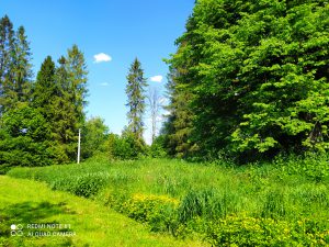Leśniczówka Azyl Wańkowa Łąka